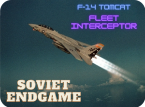 F-14 Fleet Interceptor